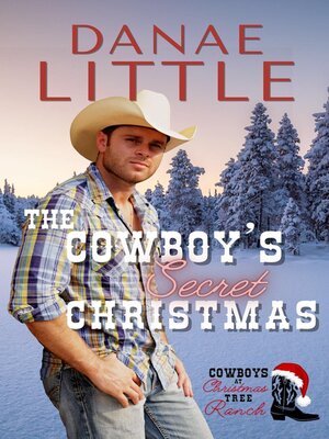 cover image of The Cowboy's Secret Christmas